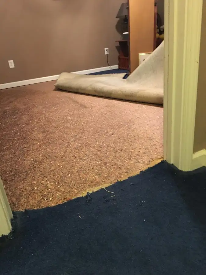 Carpet pad removal revealing water damage during Drying & Dehumidification in Bowleys Quarters