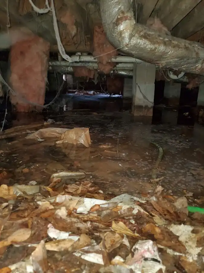 Crawl space flood assessment for Commercial Water Damage Restoration in Bowleys Quarters