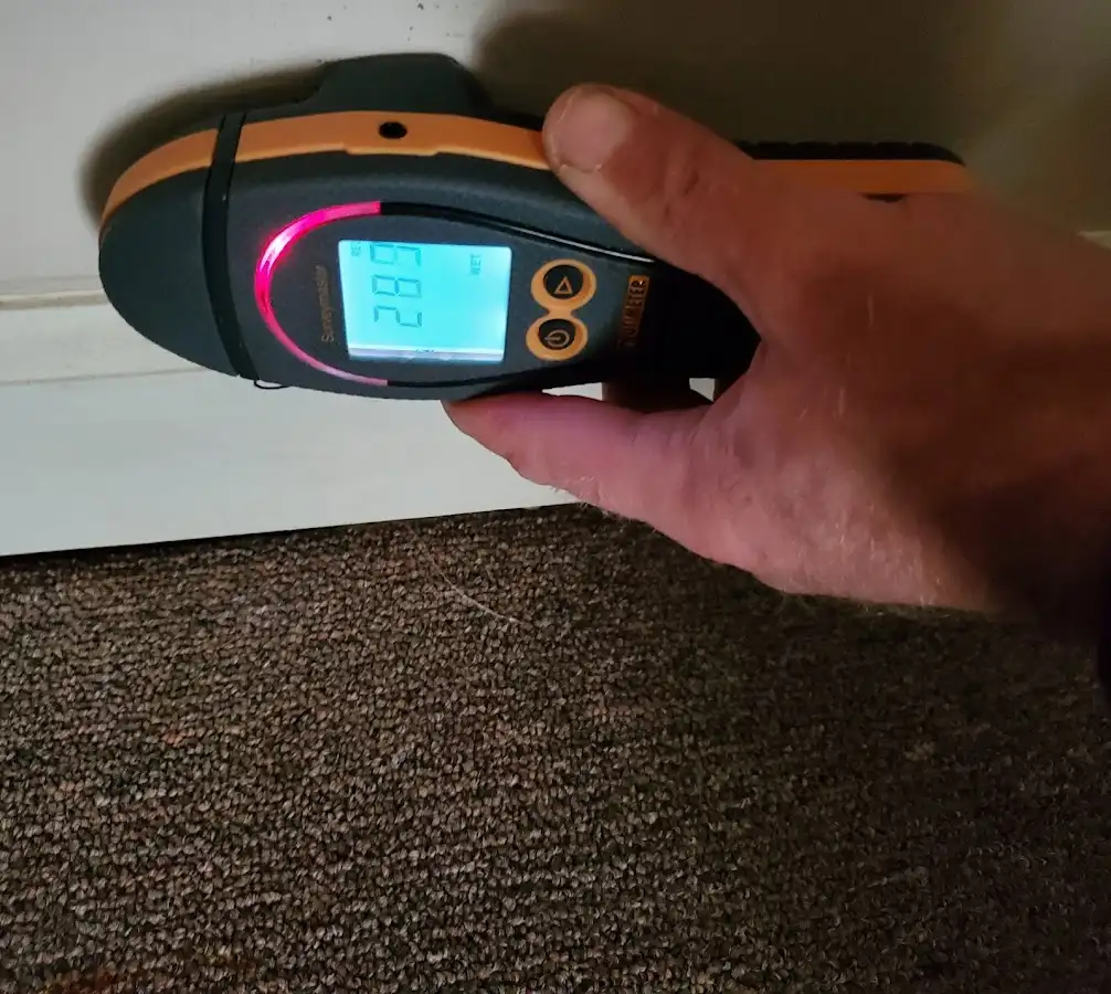 Moisture detection at baseboard during Burst Pipe Cleanup in Bowleys Quarters