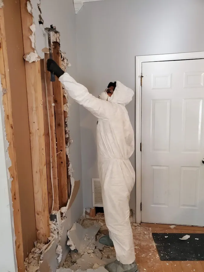 Mold Remediation & Removal in Bowleys Quarters, MD